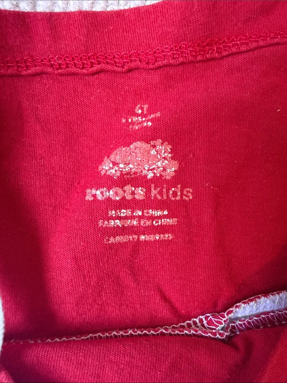 Roots Kids Red Graphic dress (4T)